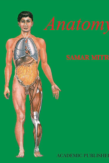 anatomy-part-1