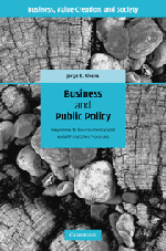 business-and-public-policy-responses-to-environmental-and-social-protection-processes