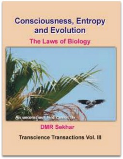 consciousness-entropy-and-evolution-the-laws-of-biology