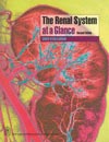 the-renal-system-at-a-glance