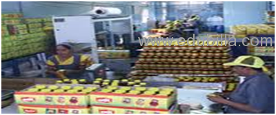 Industrial Visit Kamdhenu Pickles & Spices Pvt. Ltd. & Shivshakti Foods Pvt Ltd.  