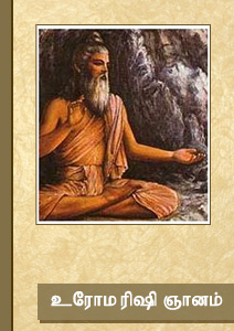 உரோம ரிஷி ஞானம்