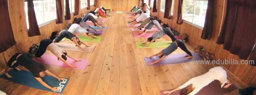 200-hour-yoga-teacher-training-india.jpg