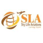 Sky life aviation