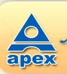 APEX INSTITUTE OF TECHNOLOGY