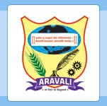 ARAVALI INSTITUTE OF MANAGEMENT