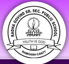 Top Institute RADHA GOVIND SENIOR SECONDARY PUBLIC SCHOOL details in Edubilla.com
