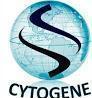 CytoGene Research & Development
