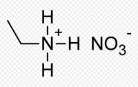 Paul Walden-Ethylammonium nitrate