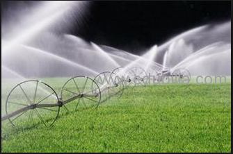 irrigation3.png