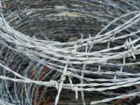 Louis F. Jannin-Barbed wire