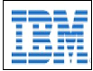 IBM INDIA