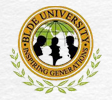 B.L.D.E. University