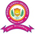 Indira Gandhi University